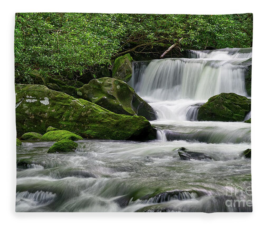 Middle Prong Trail Fleece Blanket featuring the photograph Lynn Camp Prong 12 by Phil Perkins
