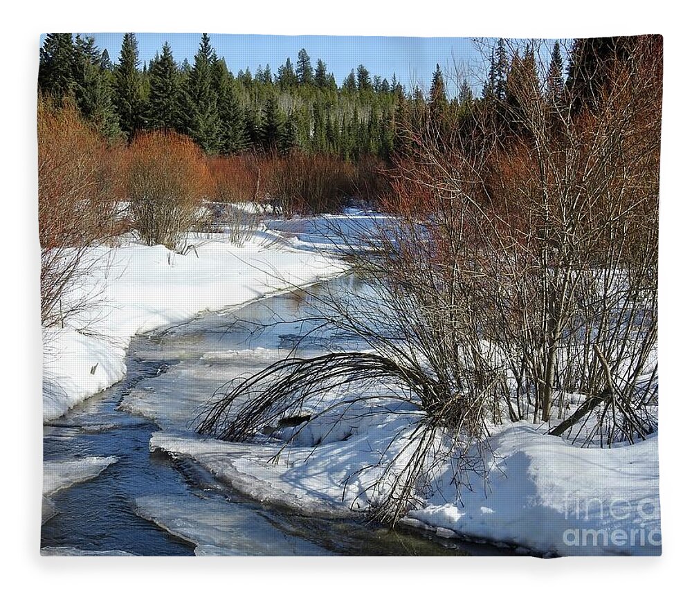 Creek Fleece Blanket featuring the photograph Mackin Creek in March by Nicola Finch