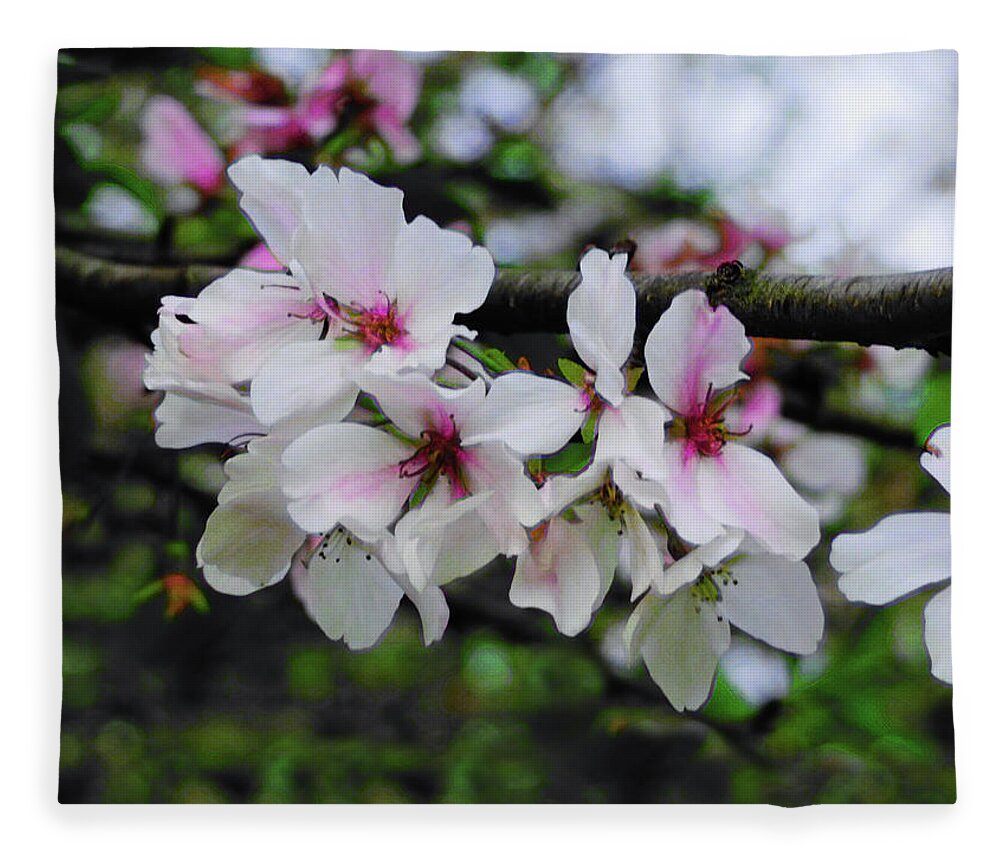 Cherry Blossom Fleece Blanket featuring the photograph Macon Beauties by Rod Whyte
