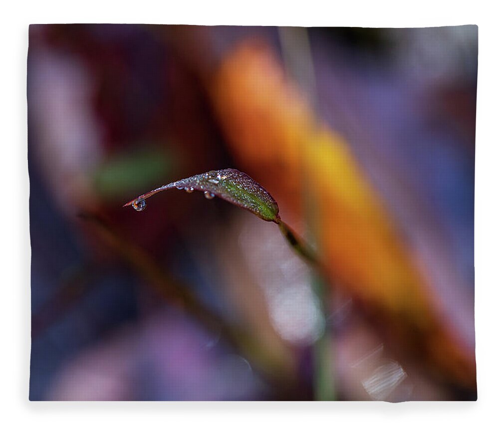 Fall Fleece Blanket featuring the photograph Macro Photography - Fall Foliage by Amelia Pearn
