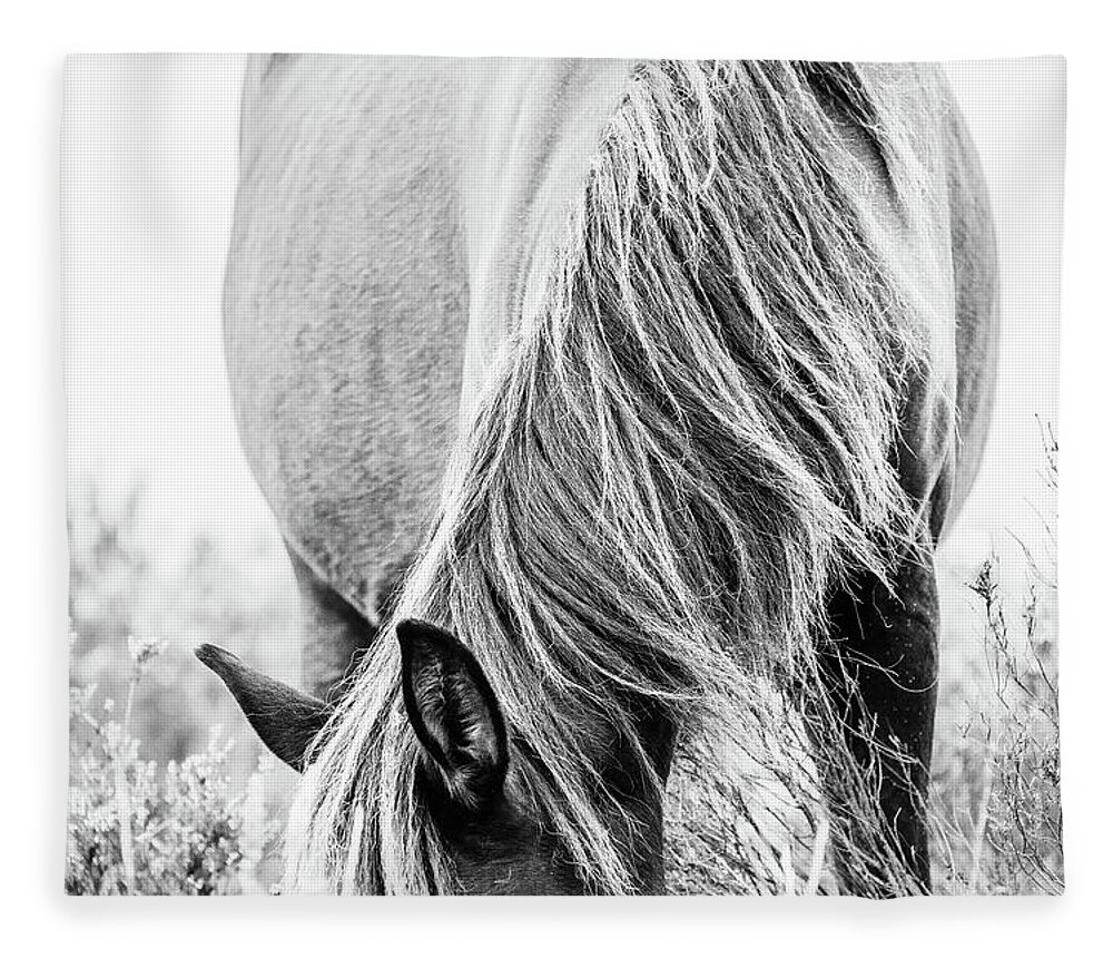 Photographs Fleece Blanket featuring the photograph Madison II - Horse Art by Lisa Saint