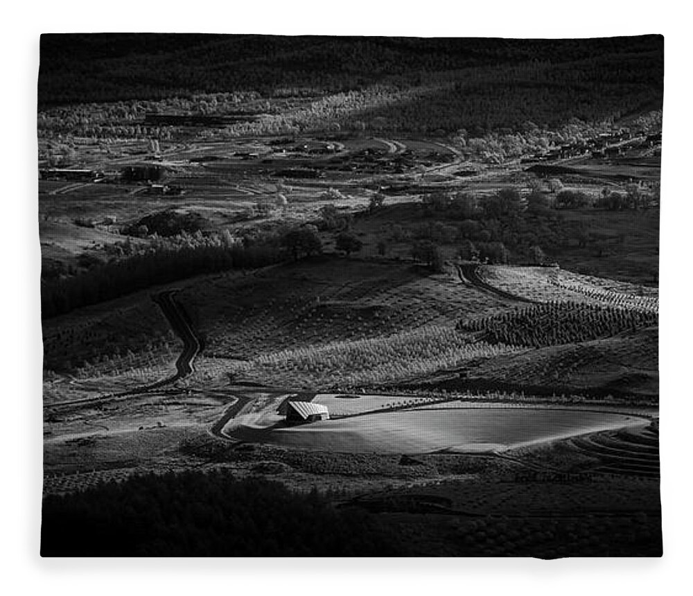 Canberra Fleece Blanket featuring the photograph Magic Light by Ari Rex