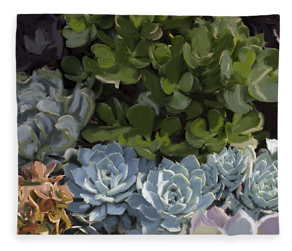 Succulents Fleece Blanket featuring the digital art Magical Succulents by Beth Cornell