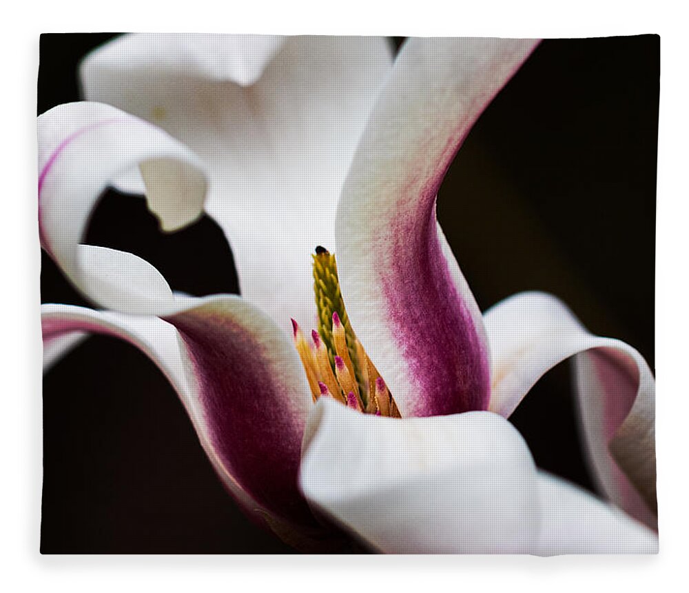Magnolia Fleece Blanket featuring the photograph Magnolia Bloom by Carrie Hannigan