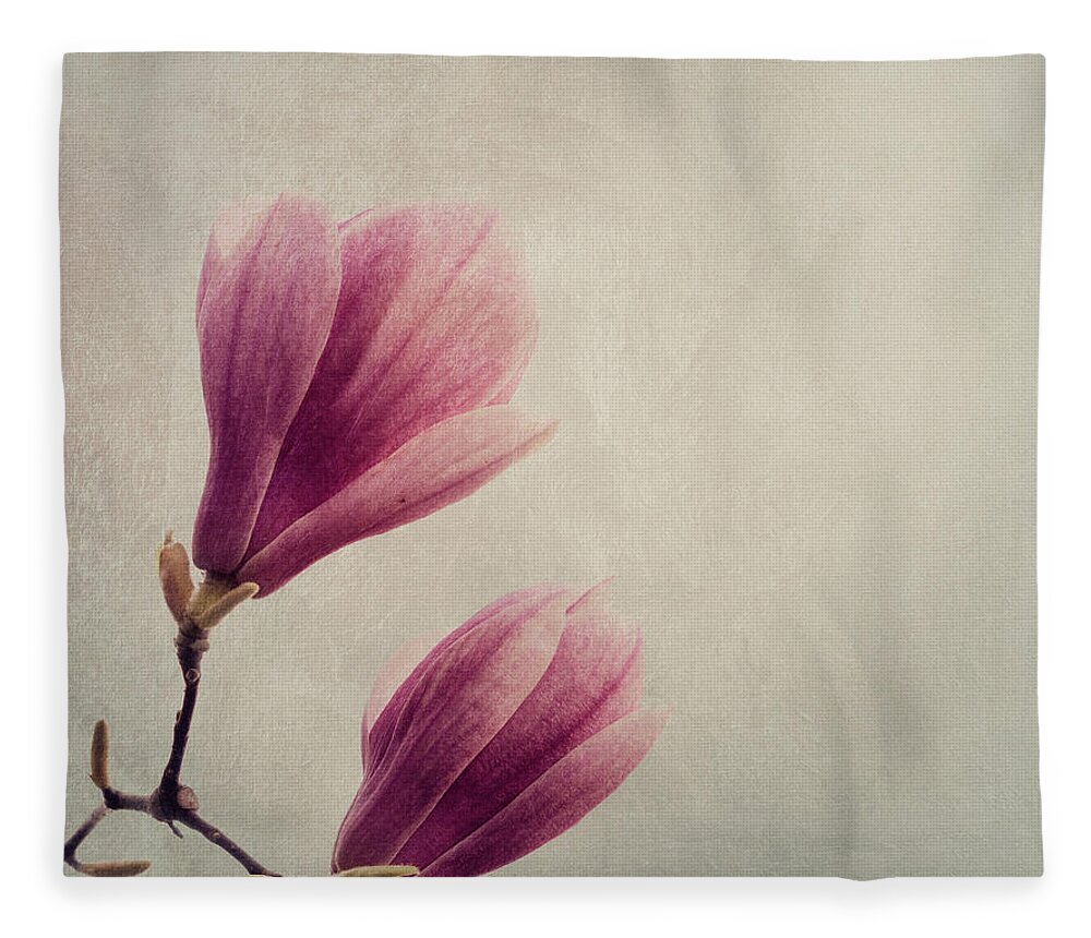 Magnolia Fleece Blanket featuring the photograph Magnolia flower on art texture by Jelena Jovanovic