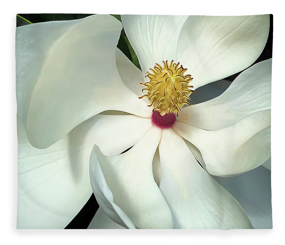 Magnolia Fleece Blanket featuring the photograph Magnolia Scepter by Ginger Stein
