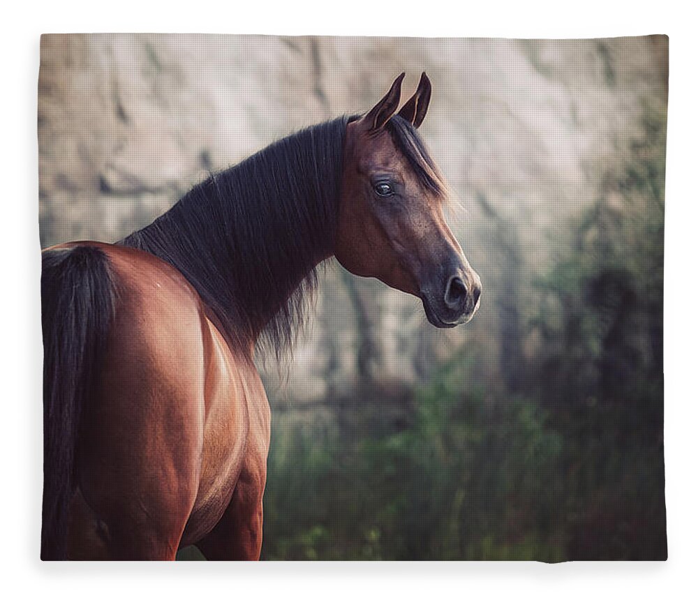 Photographs Fleece Blanket featuring the photograph Magnum III - Horse Art by Lisa Saint