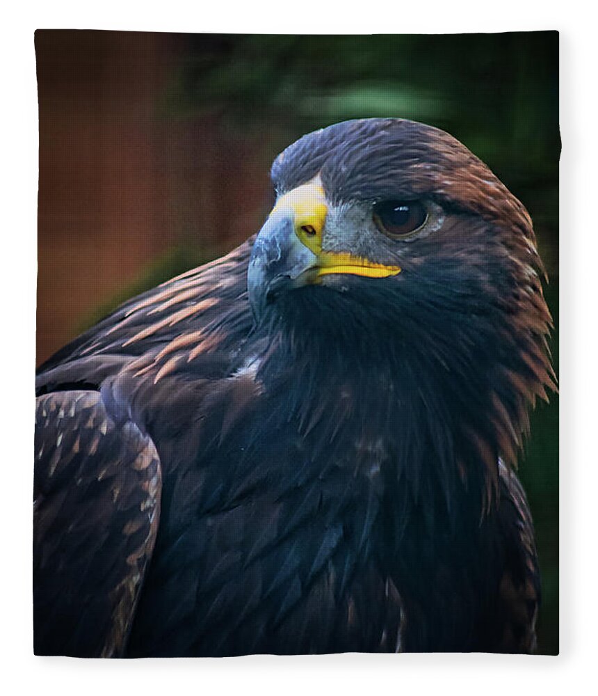 Eagle Fleece Blanket featuring the photograph Majestic Eagle by Thomas Nay