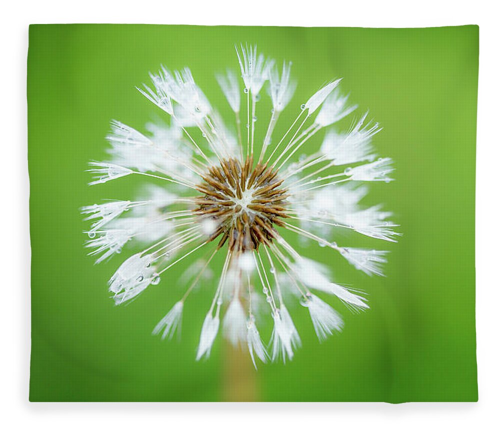 Abstract Fleece Blanket featuring the photograph Make A Wish - on Green by Anita Nicholson