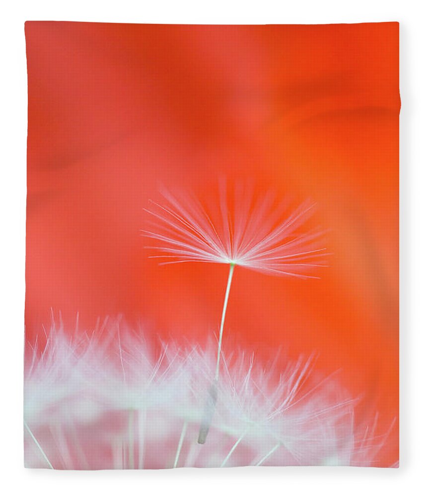 Ideas Fleece Blanket featuring the photograph Make a Wish - on Red by Anita Nicholson