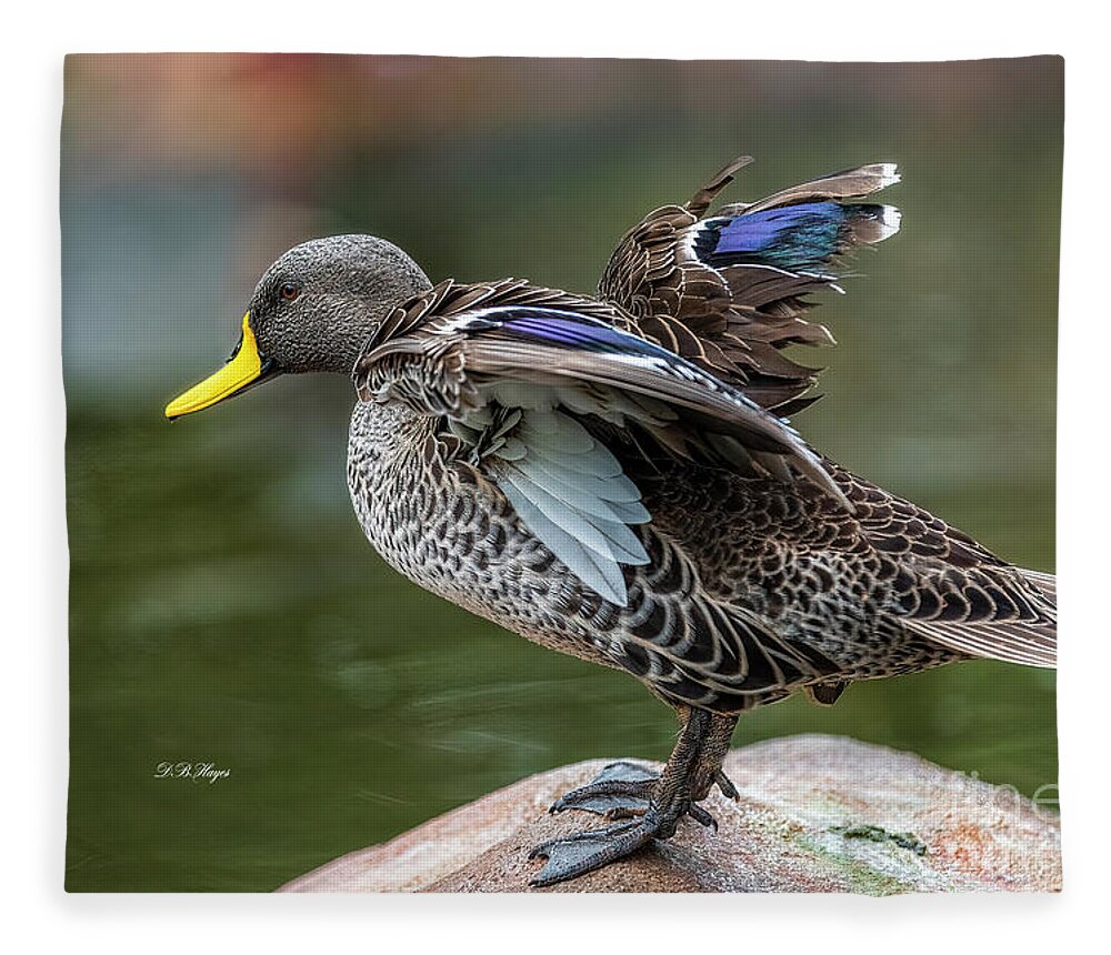 Ducks Fleece Blanket featuring the photograph Mallard by DB Hayes