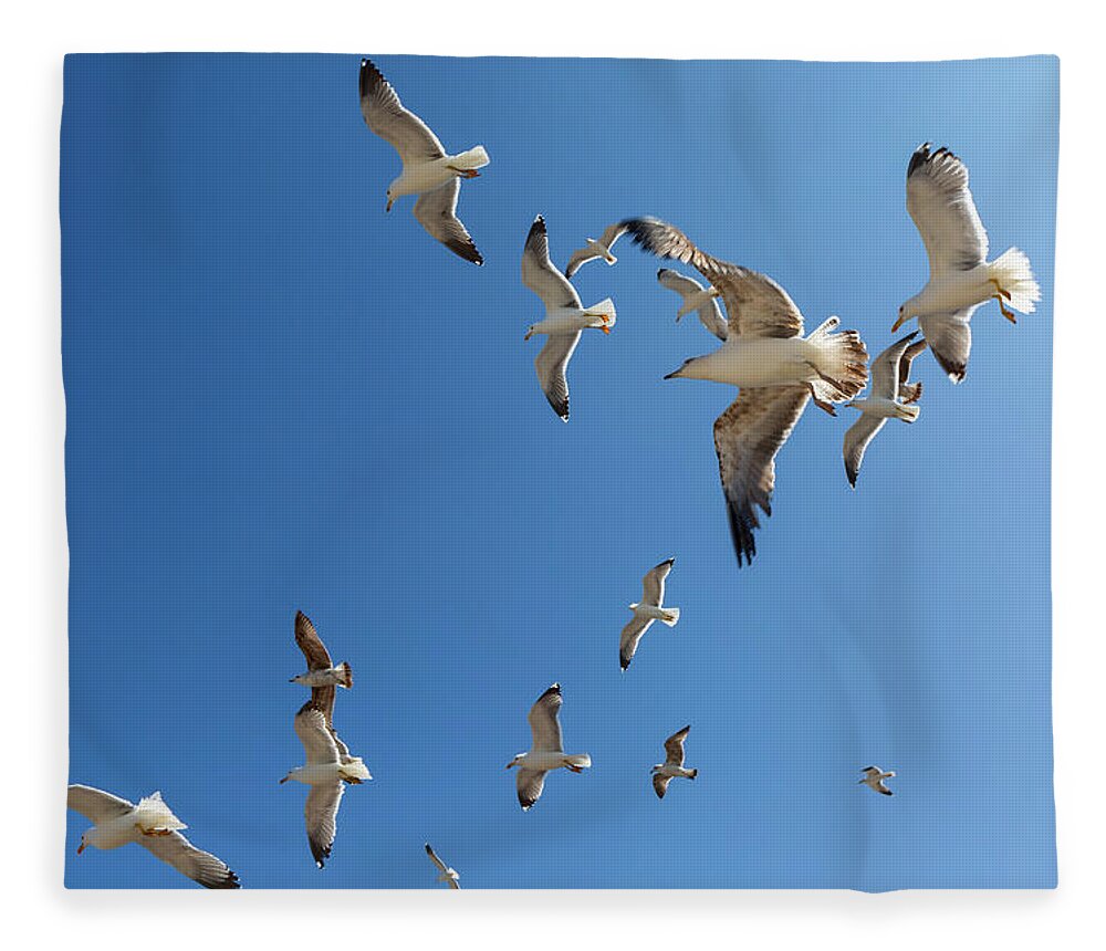 Sky Fleece Blanket featuring the photograph Many seagulls fly against the blue sky by Mikhail Kokhanchikov