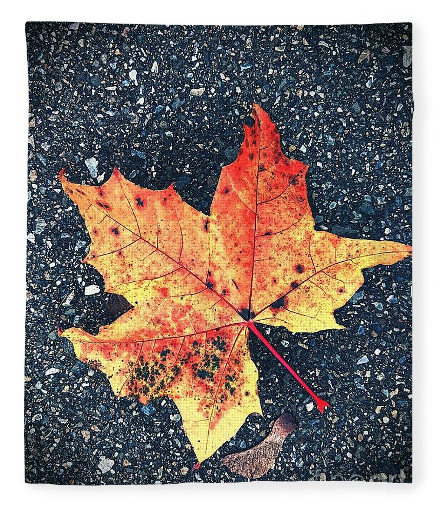 Autumn Fleece Blanket featuring the photograph Maple Leaf by Claudia Zahnd-Prezioso