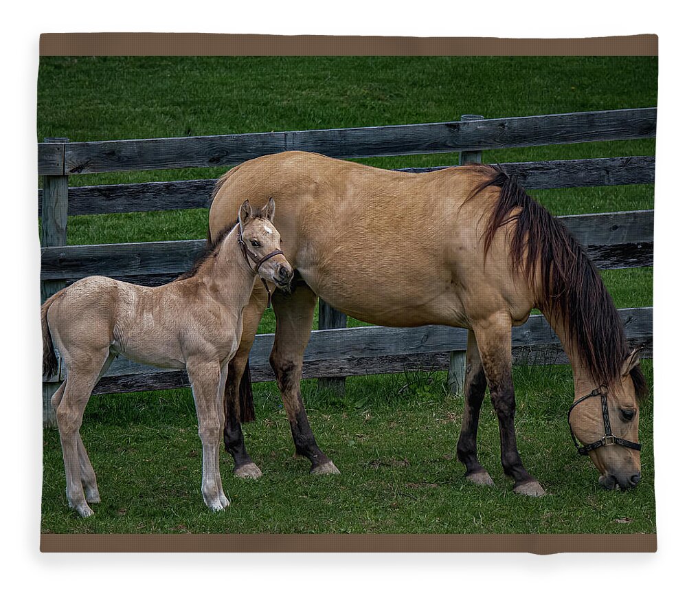 Animal Fleece Blanket featuring the photograph Mare and foal by Brian Shoemaker