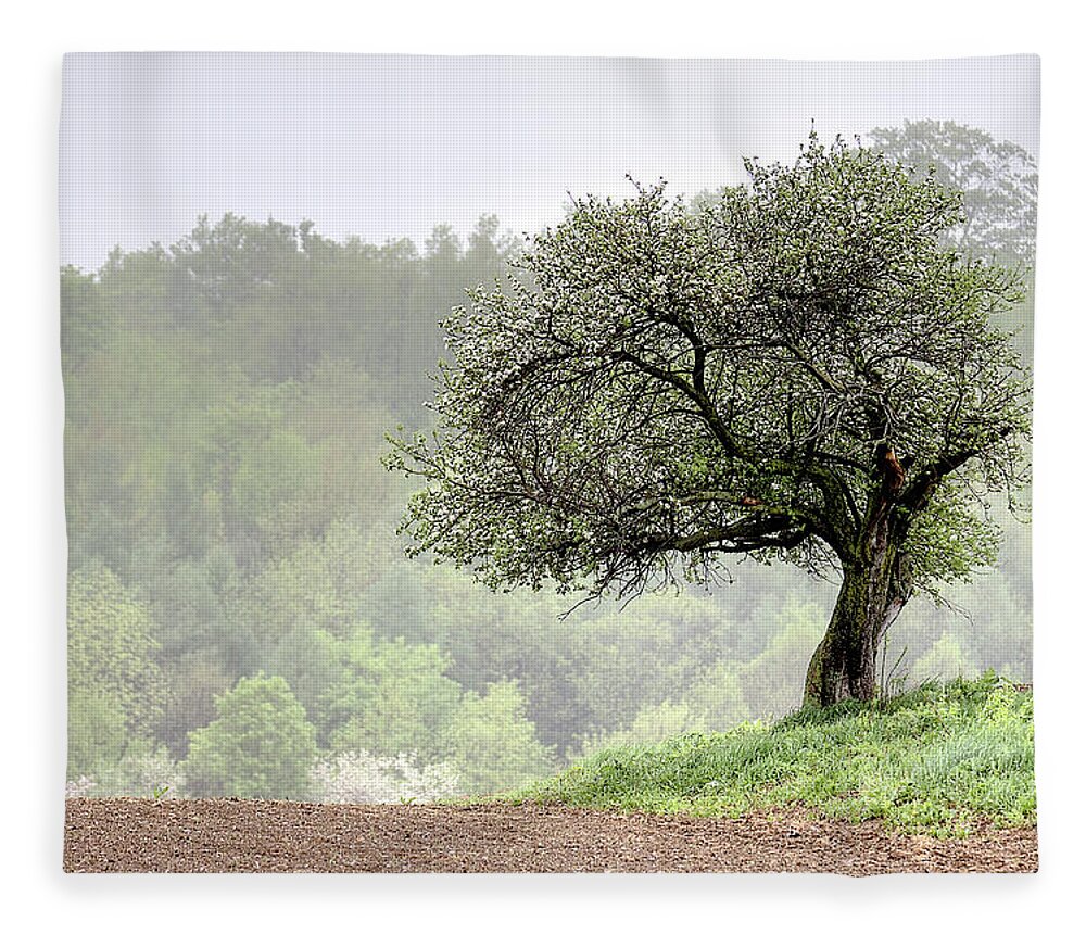 Trees Fleece Blanket featuring the photograph Marilla Tree by Don Nieman