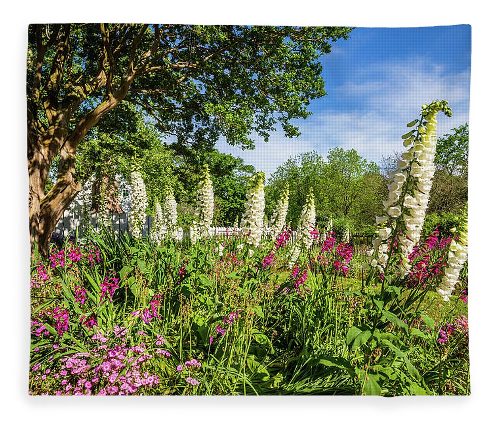 Colonial Williamsburg Fleece Blanket featuring the photograph May Day at the Taliaferro-Cole Garden by Rachel Morrison