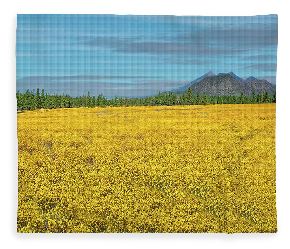 Arizona Fleece Blanket featuring the photograph Meadow of Yellow Wildflowers by Jeff Goulden