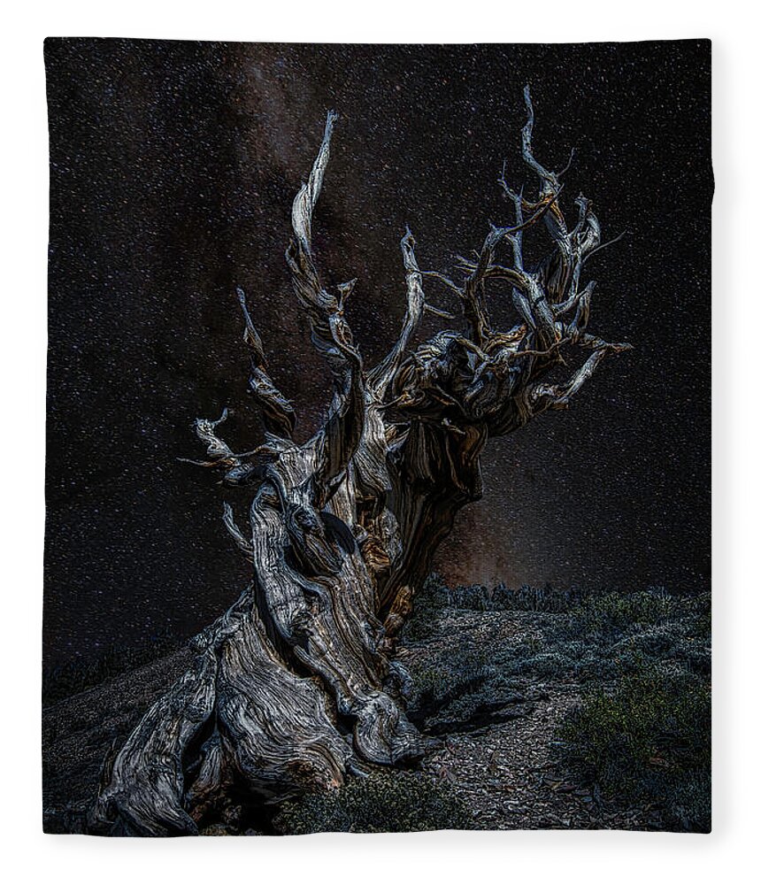 Landscape Fleece Blanket featuring the photograph Methuselah Night Sky by Romeo Victor