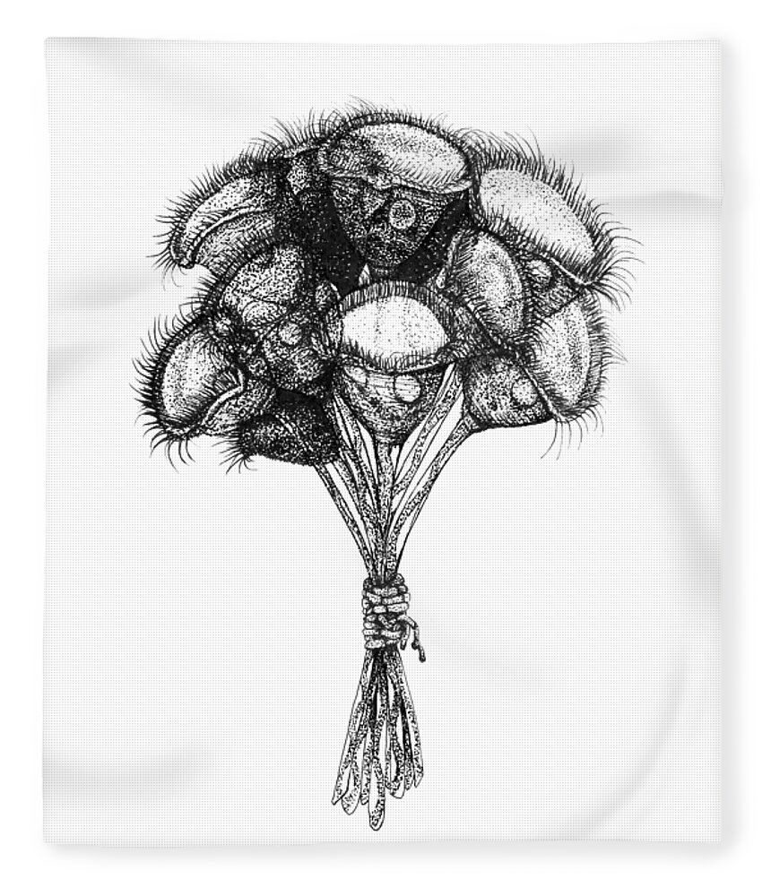 Protozoa Fleece Blanket featuring the drawing Microscopic Bouquet by Katelyn Solbakk