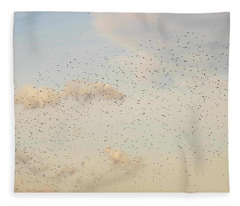Animals Fleece Blanket featuring the photograph MIgrating Birds In The Sky by Amelia Pearn
