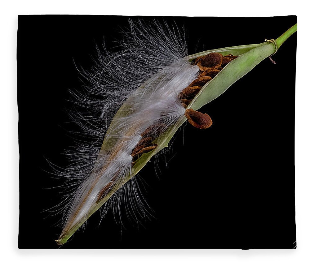 Milkweed Fleece Blanket featuring the photograph Milkweed Pod 4 by Endre Balogh