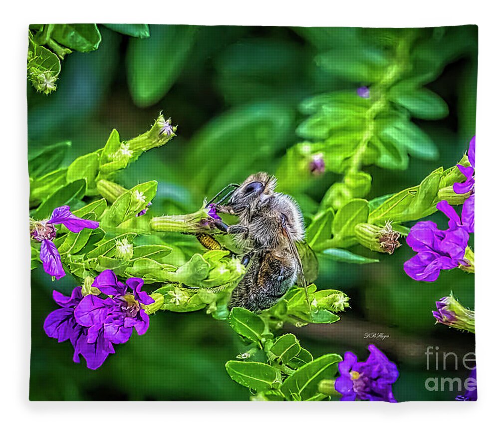 Bees Fleece Blanket featuring the photograph Mining Bee In Mexican Heather by DB Hayes