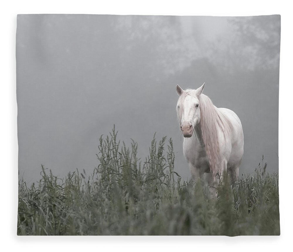 Missouri Fleece Blanket featuring the photograph Missing Shawnee by Holly Ross