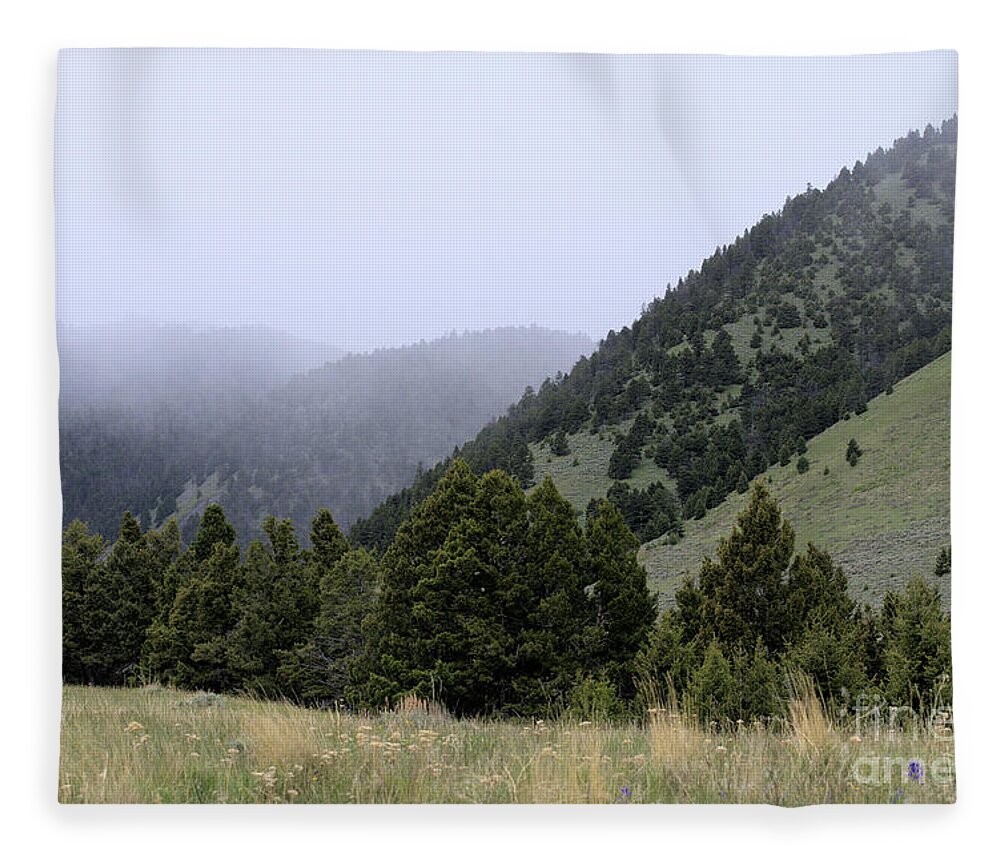 Scenic Fleece Blanket featuring the photograph Mist in the Mountains by Kae Cheatham