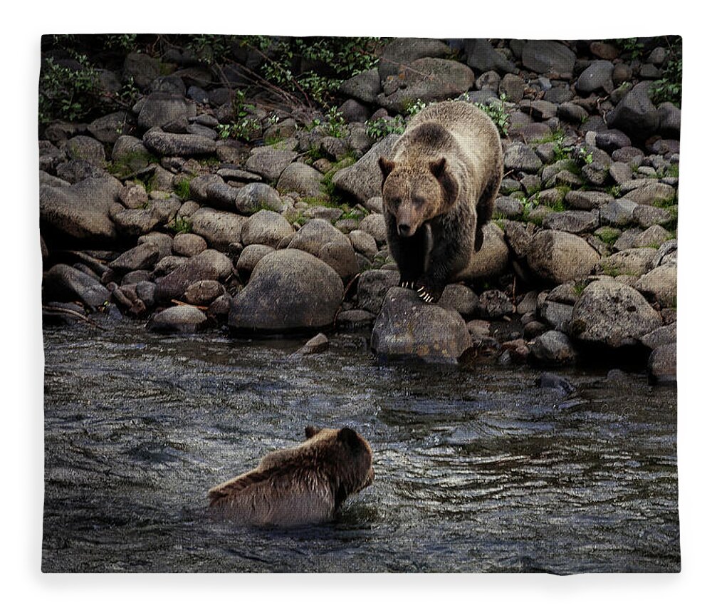 Grizzly Fleece Blanket featuring the photograph Moma Bear Scolding Baby Bear by Craig J Satterlee