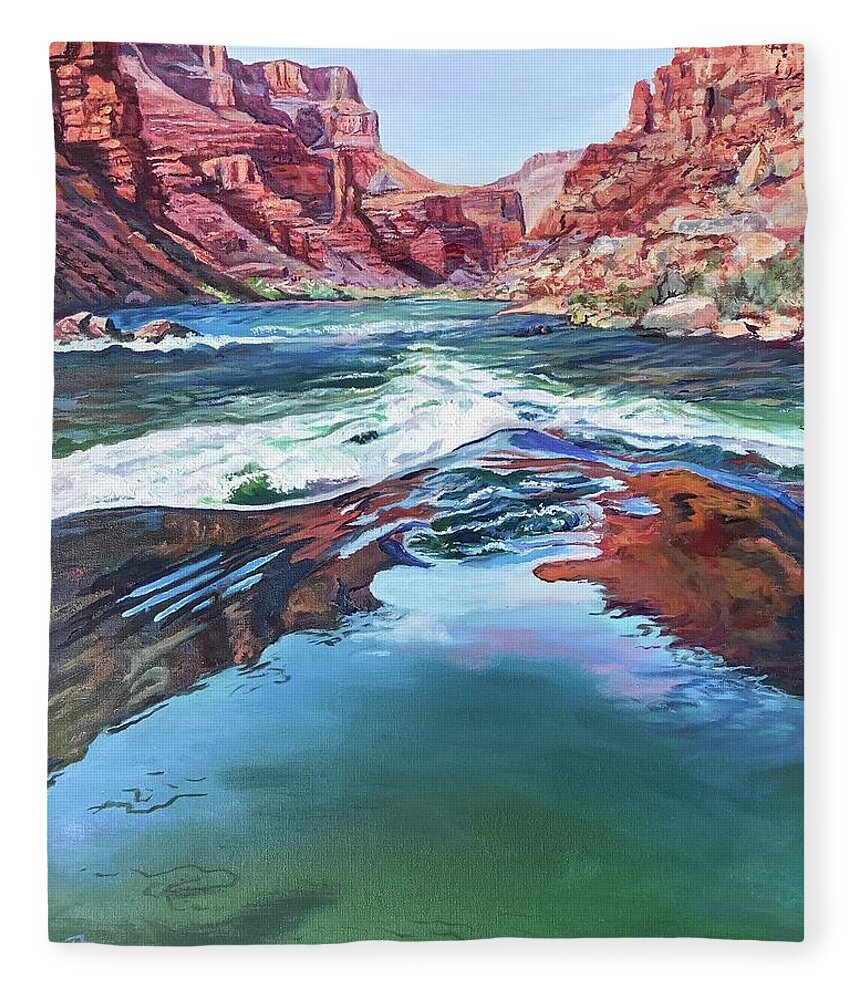 Water Fleece Blanket featuring the painting Momentum, Grand Canyon by Page Holland