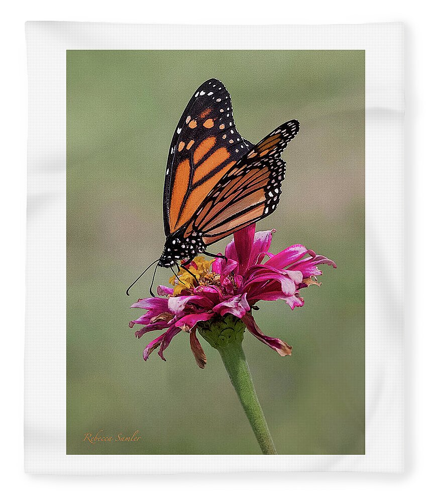 Monarch Fleece Blanket featuring the photograph Monarch by Rebecca Samler