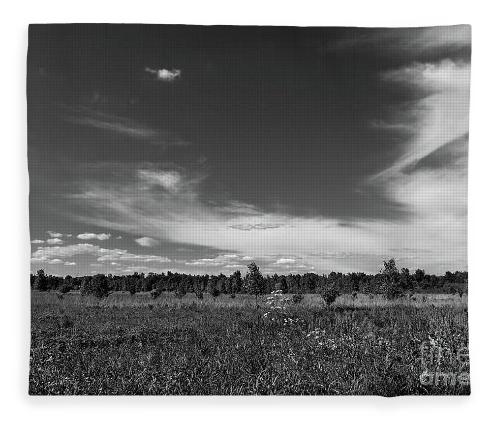Cincinnati Fleece Blanket featuring the photograph Monochromatic meadow by Bentley Davis