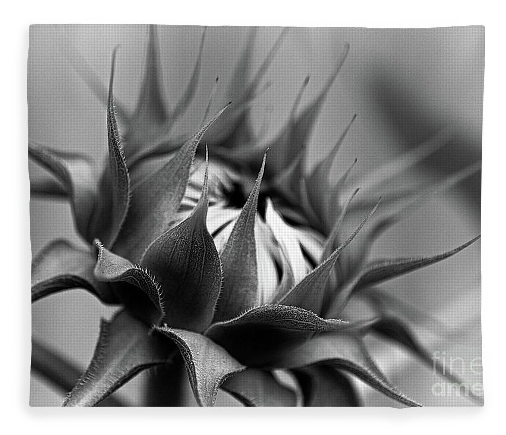 Monochrome Fleece Blanket featuring the photograph Monochrome 564 by Fine art photographer Julie