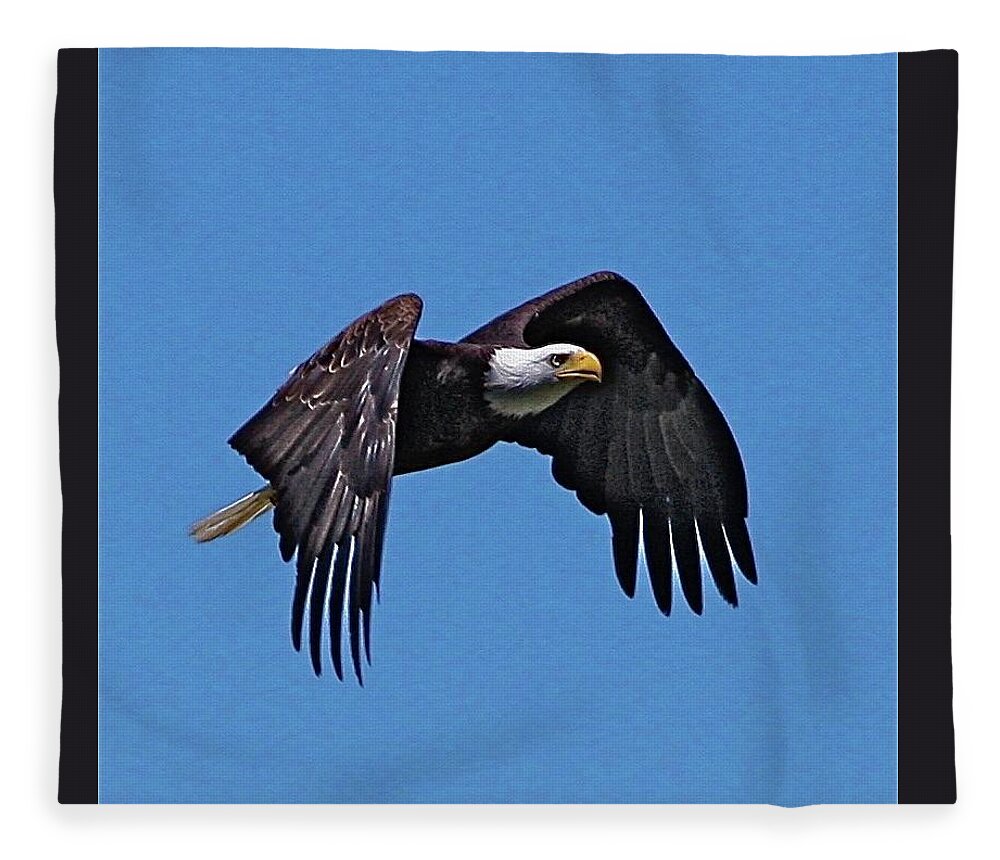 Eagle Fleece Blanket featuring the photograph Montana Eagle by Dorsey Northrup