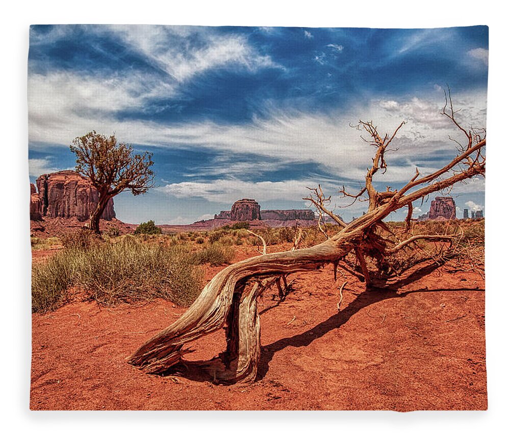Plant Fleece Blanket featuring the photograph Monument Valley 02 by Micah Offman