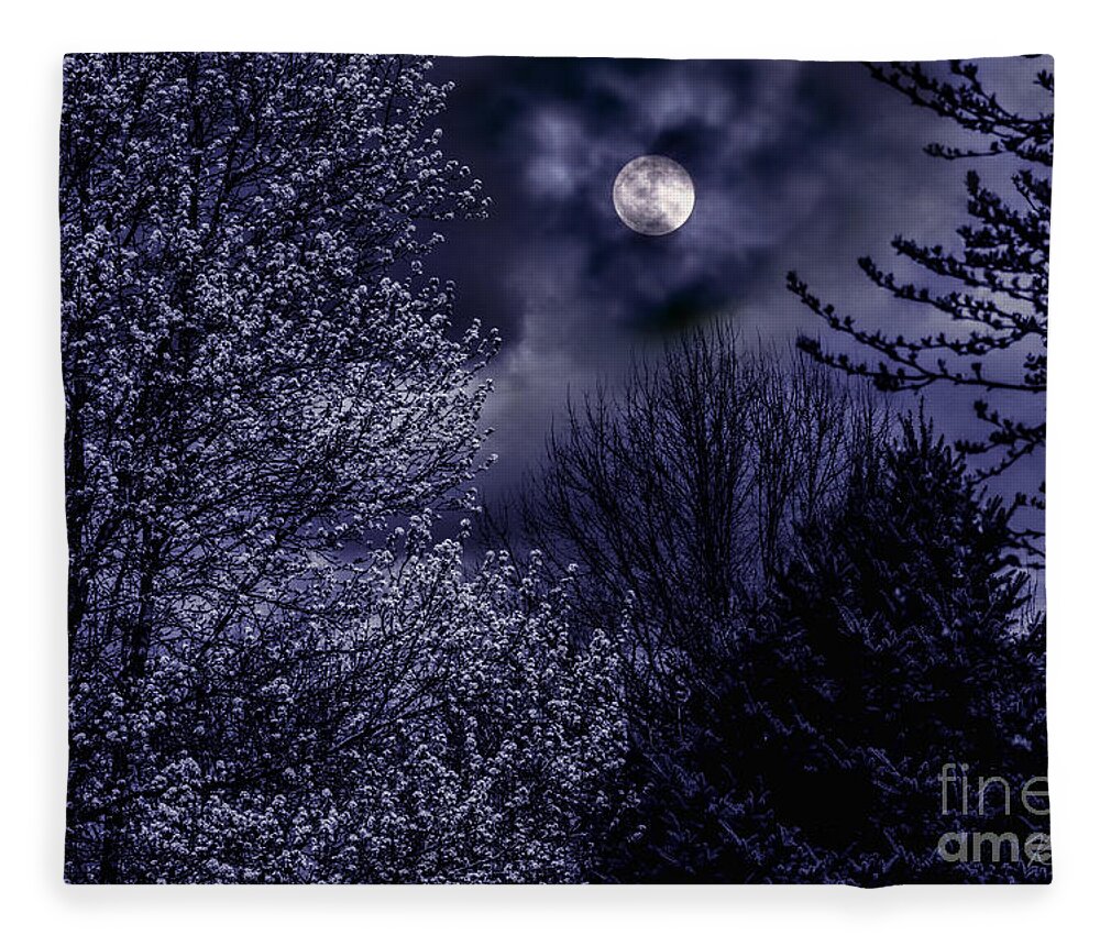 Fine Art Fleece Blanket featuring the photograph Moonlit Trees by Rosanna Life