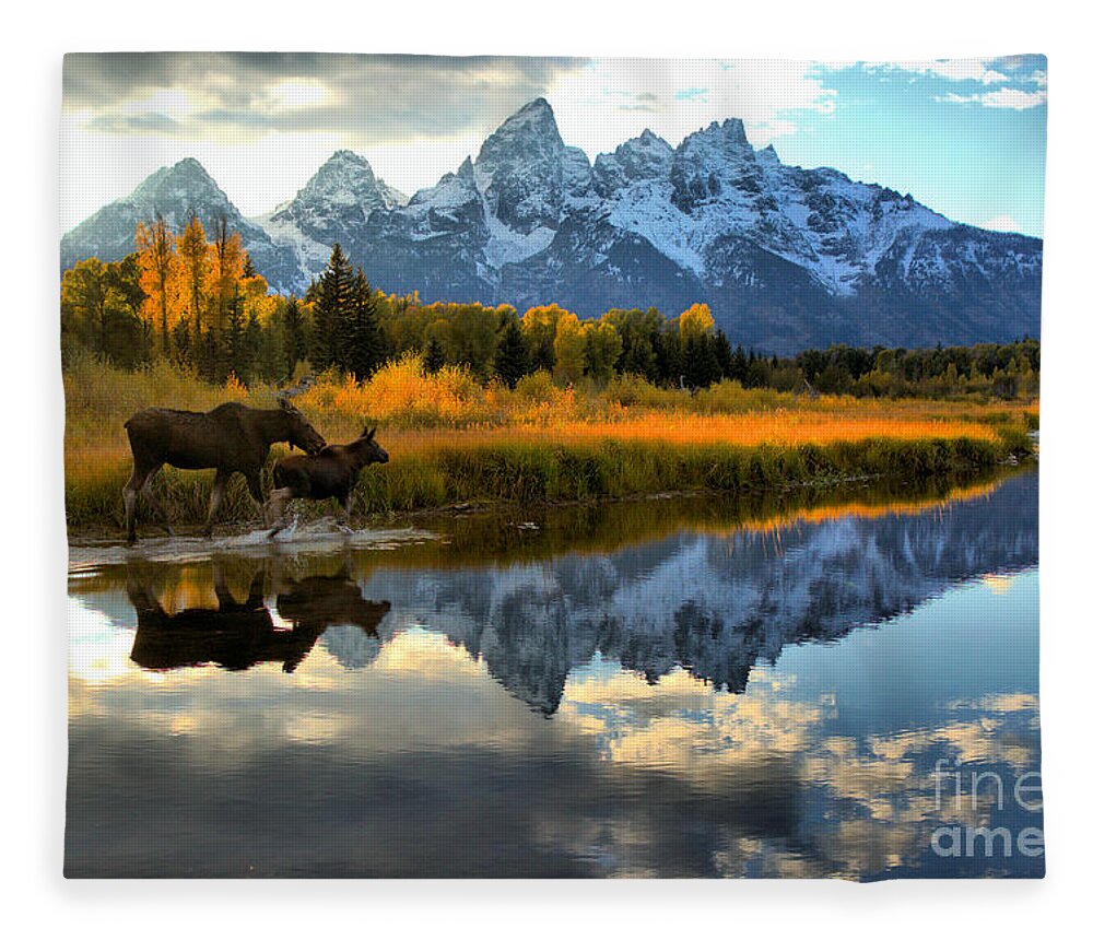Grand Fleece Blanket featuring the photograph Moose Cow And Calf Evening Teton Stroll by Adam Jewell