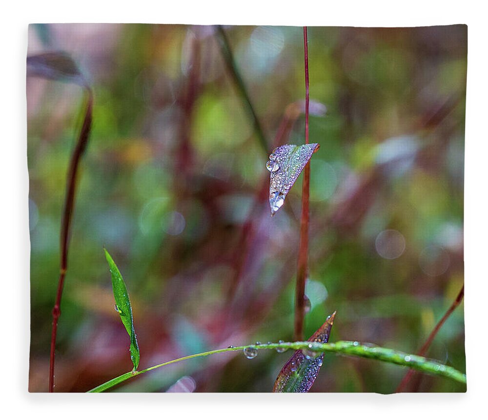 Water Drops Fleece Blanket featuring the photograph Morning Dew on Grass by Amelia Pearn