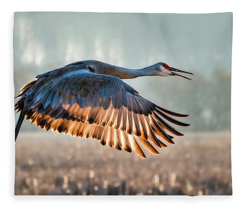 Crane Fleece Blanket featuring the photograph Morning Flight by Brad Bellisle