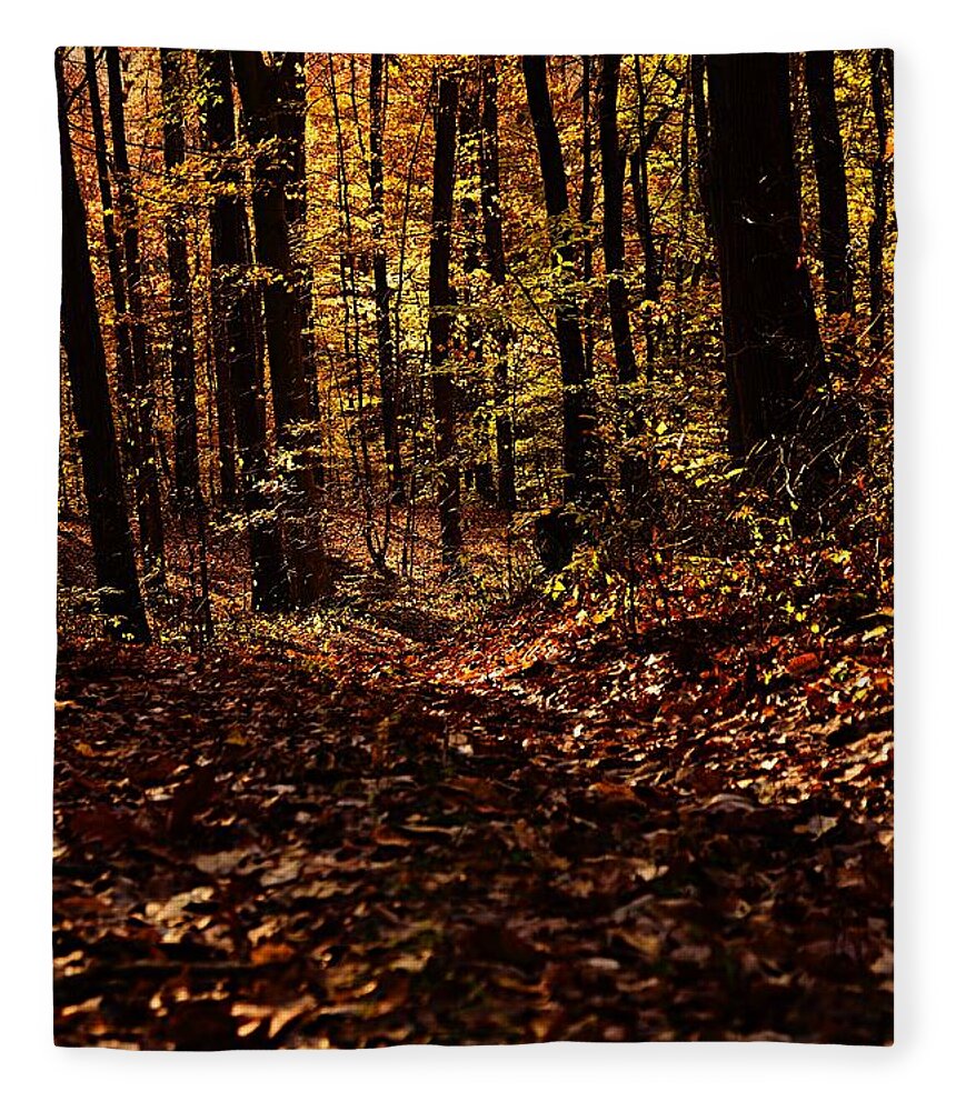 Photography Fleece Blanket featuring the photograph Morning Light in Autumn by Larry Ricker