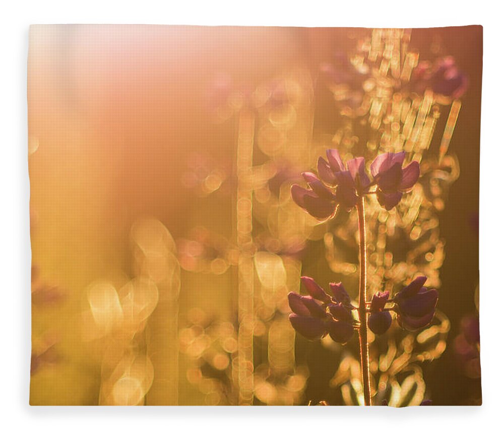 Plant Fleece Blanket featuring the photograph Morning light by Maria Dimitrova