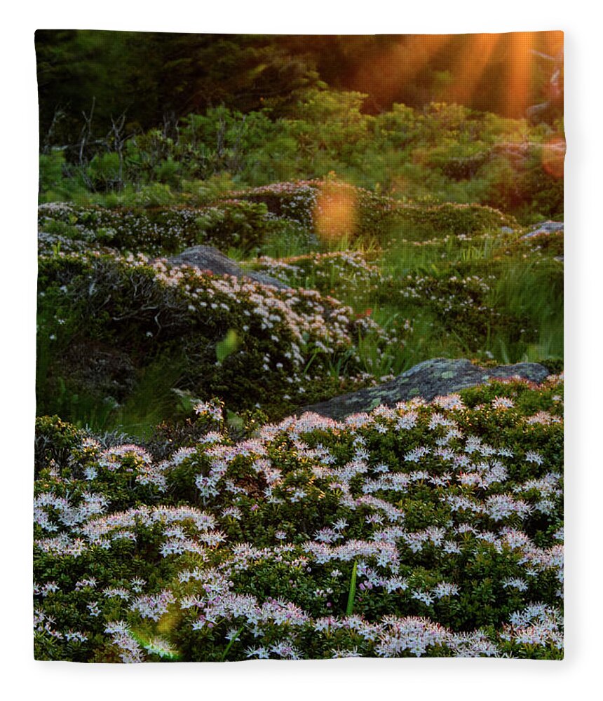 Blue Ridge Mountains Fleece Blanket featuring the photograph Morning Rays by Melissa Southern