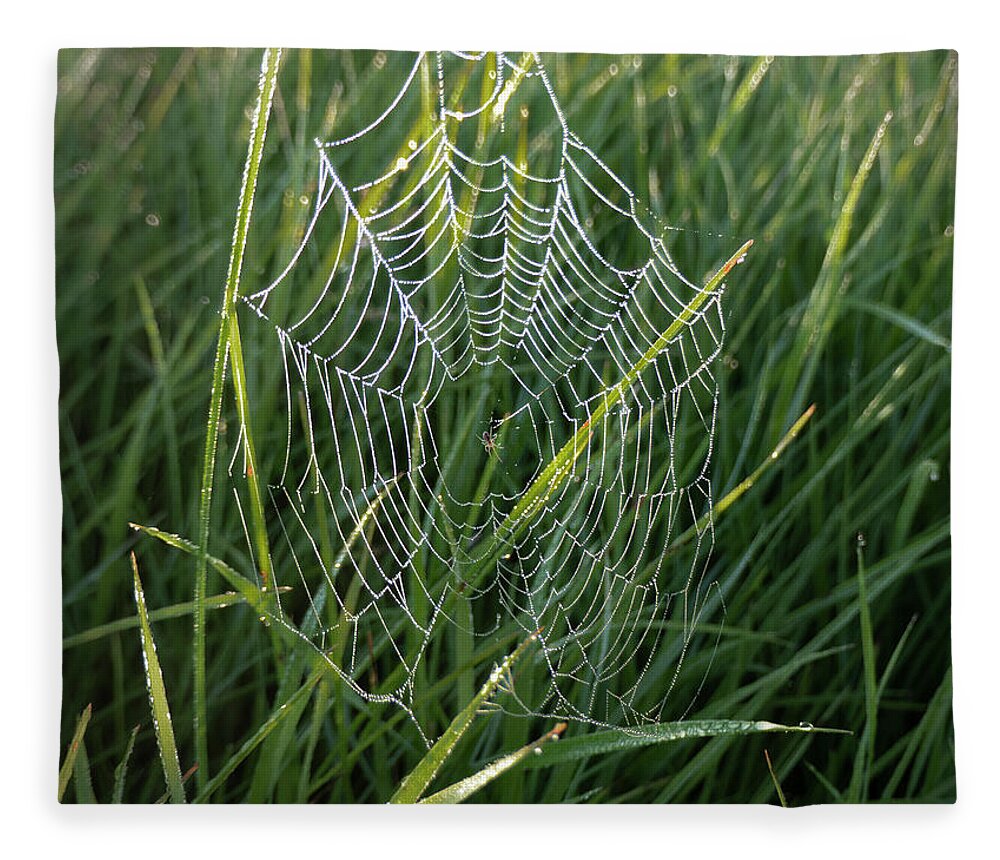 Spider Fleece Blanket featuring the photograph Morning Spider Web by Phil And Karen Rispin