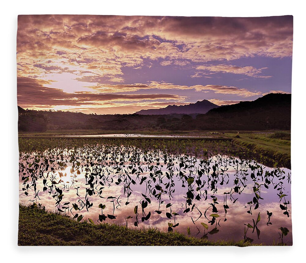 Kauai Fleece Blanket featuring the photograph Morning Taro by Tony Spencer