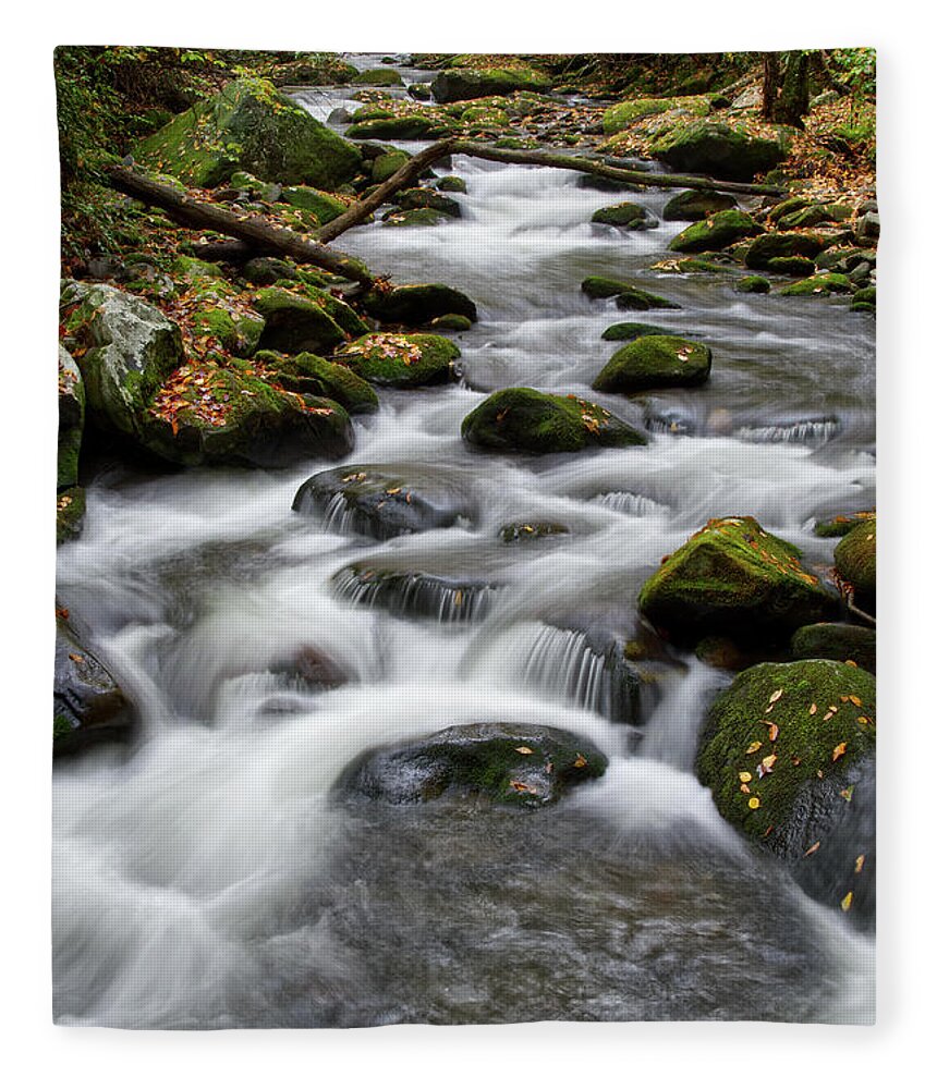 Middle Prong Trail Fleece Blanket featuring the photograph Moss On Middle Prong 6 by Phil Perkins