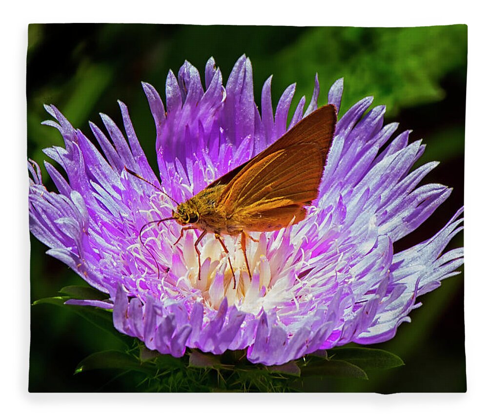 Blooming Fleece Blanket featuring the photograph Moth on flower center by Charles Floyd
