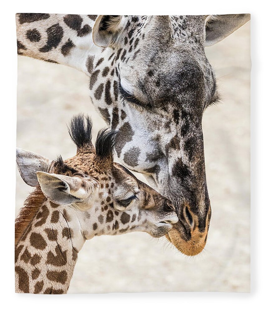 Giraffe Fleece Blanket featuring the photograph Mother's Love by Jim Miller
