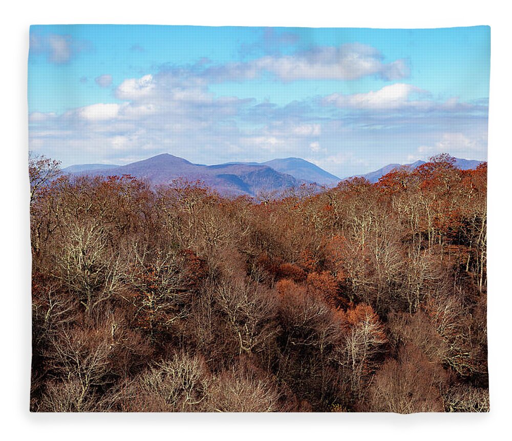 Mountains Fleece Blanket featuring the photograph Mount Jefferson View by Cindy Robinson