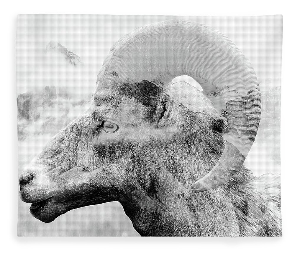 Bighorn Sheep Fleece Blanket featuring the photograph Mountain Bighorn Ram by Dan Sproul