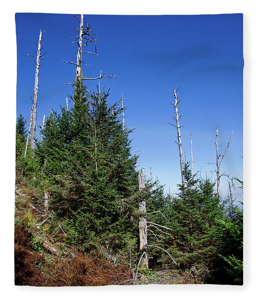 Balsam Woolly Adelgid Fleece Blanket featuring the photograph Mountain Pines by Phil Perkins